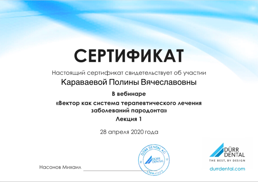 Сертификат участника вебинара "Вектор как система терапевтического лечения заболеваний пародонта", 2020